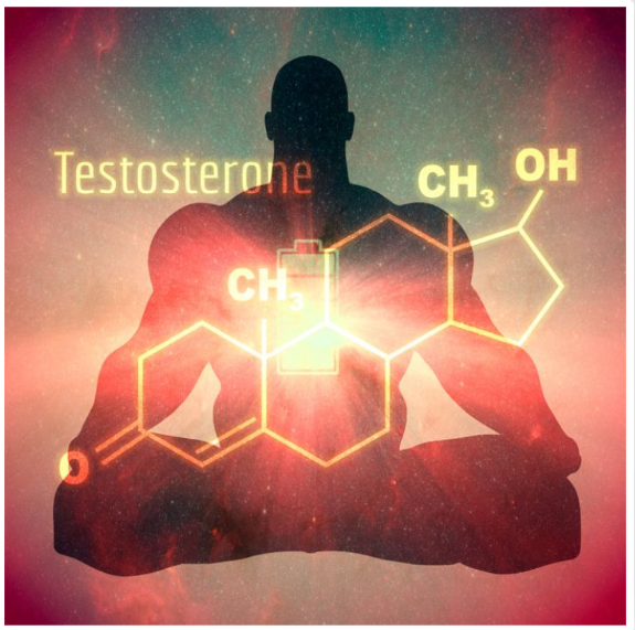 TestoChews Testosterone